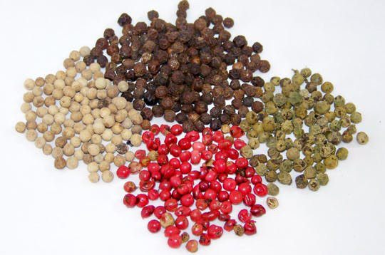 Top 5 different kinds of peppercorns [PIPER NIGRUM]