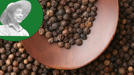 Vietnam stops increasing black pepper production in 2018