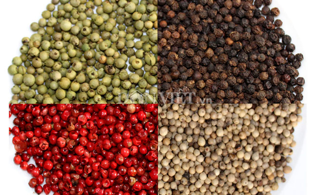 Newsletter of Vietnam Pepper Association monthly