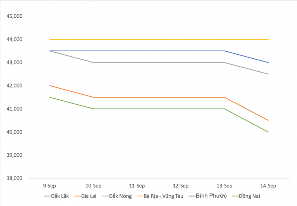 Pepper prices dropped sharply by 1,500 dong / kg