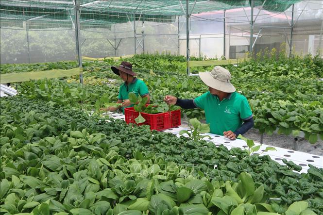 The standard application for developing agricultural products is valuable