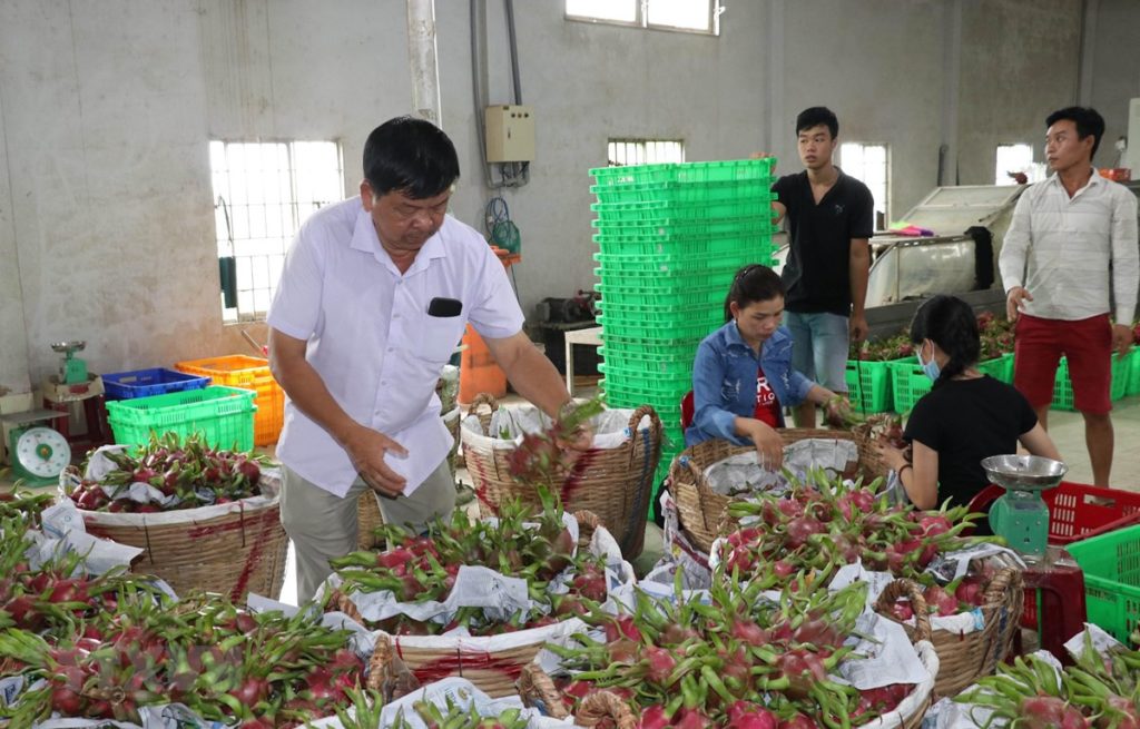 Need awareness of businesses in exporting agricultural products to China