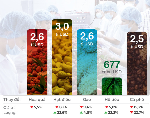 The picture of agricultural exports in 2019: Positive in the context of many changes - Photo 2.