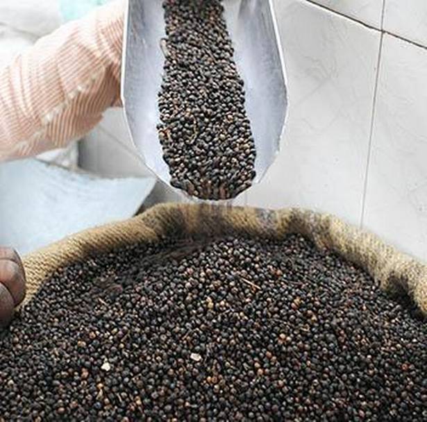 The amount of pepper traded is still small