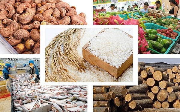 Sustainable agricultural exports to the Chinese market