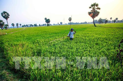 Vietnam's agriculture and export target is over 43 billion USD