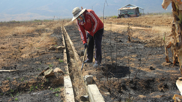 South Central – Highlands: Drought comes early, hoarfrost 'destroys' crops