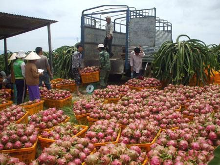 Supporting businesses and farmers in solving difficulties and clearing congestion in commercial activities before the situation of COVID-19 disease.