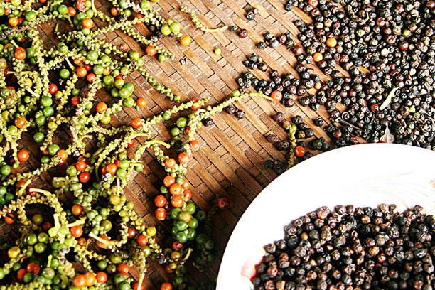 Vietnam pepper is still mainly exported, always competing with prices in the low segment.