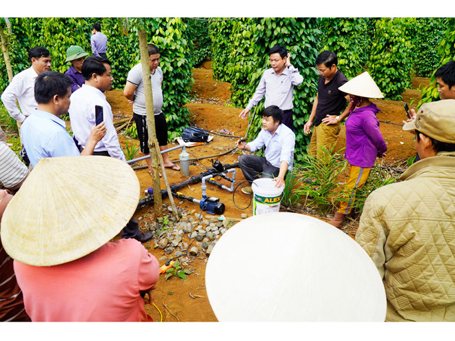 Farmers sat 'vibrating thighs' to water, fertilize for pepper