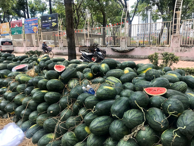 China stopped customs clearance of goods at border gates for 5 consecutive days