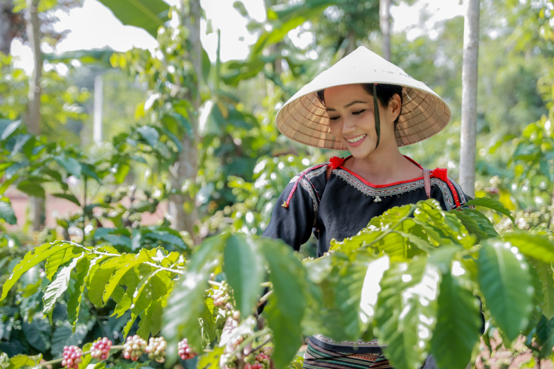 Agricultural market prices today 26/4: Prices of pepper and coffee rose last week