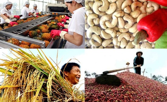 Agricultural production is nearly USD 2.8 billion