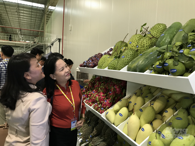 Vietnamese vegetables and fruits have many opportunities to boost exports to the EU.  Photo: Thanh Son.