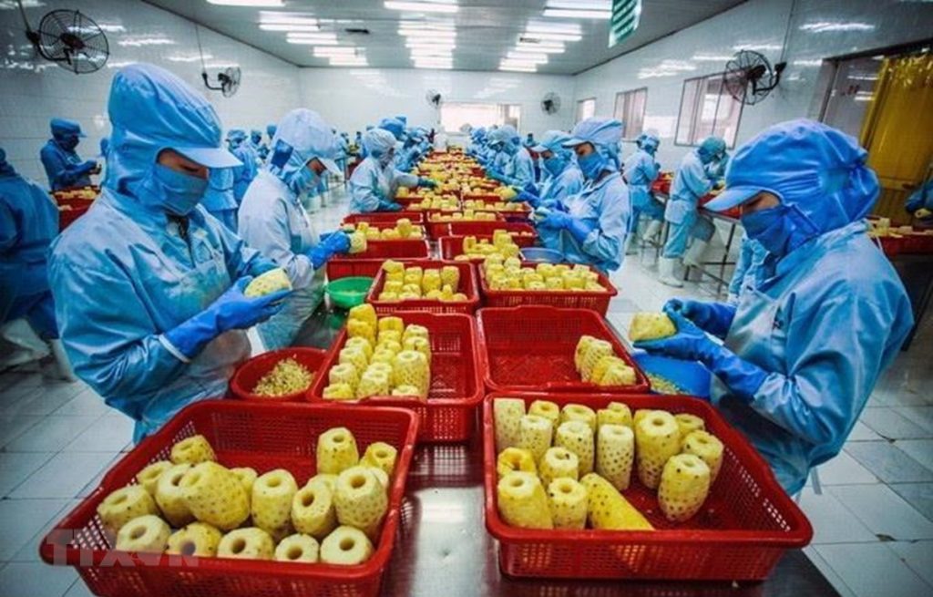 Vietnam's agricultural processing industry aims to reach the TOP 10 leading countries in the world