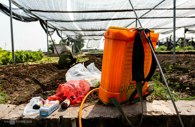 Mrs. Embroidered soil, except for grass before planting a new lettuce crop.  Photo: Thanh Hue.