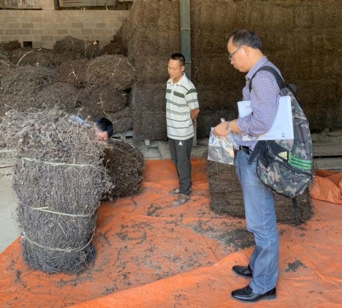 The Ministry of Agriculture and Rural Development instructs the Plant Protection Department to continue drastically negotiating and opening more export agricultural products (In the photo: Chinese experts inspect the preliminary processing and packing facility of black jelly in Vietnam).  Photo: TL.