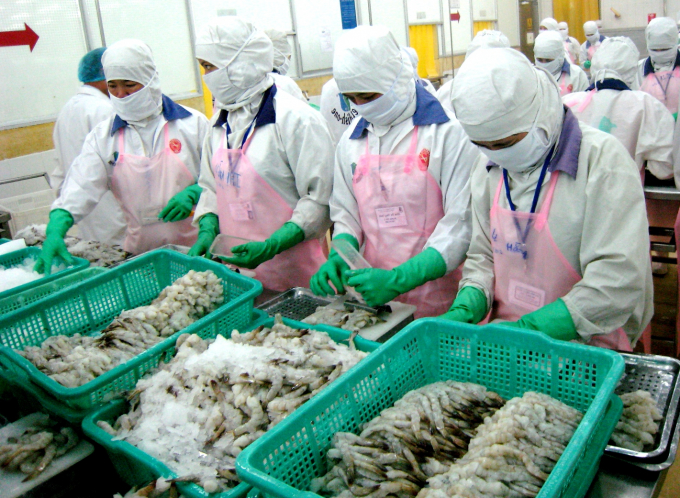 In the first 7 months of 2020, shrimp export earned nearly US $ 2 billion (up 12.1%).  Photo: TL.