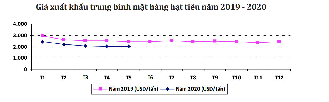 Export price of pepper in the first half of 2020 dropped sharply - Photo 1.