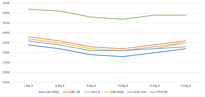 Coffee prices today 13/9: Turning back down 200 VND / kg in the past week, pepper prices remained stable - Photo 1.