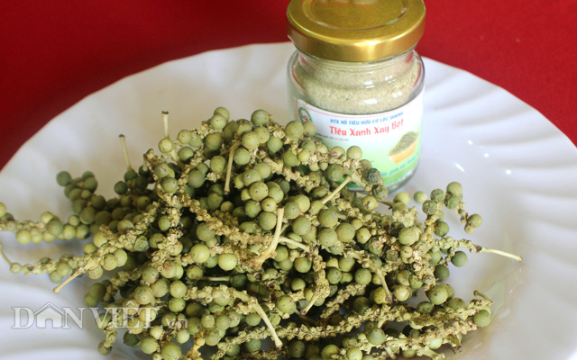 CLip Young director and dreams of processing organic pepper for Vietnamese - Photo 12.