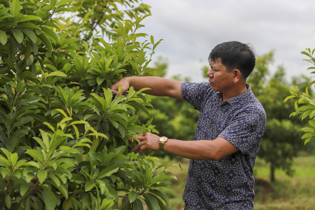 Nông nghiệp - trụ đỡ qua gian khó (bài 2): Những bước đi đột phá - Ảnh 3.