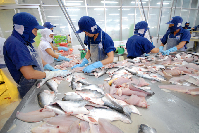 Vietnam needs to aim to become a responsible and sustainable food and food supplier, with competitiveness and branding.  Photo: TL