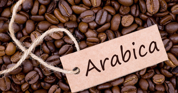 Ministry of Industry and Trade: Arabica coffee prices will recover in 2020