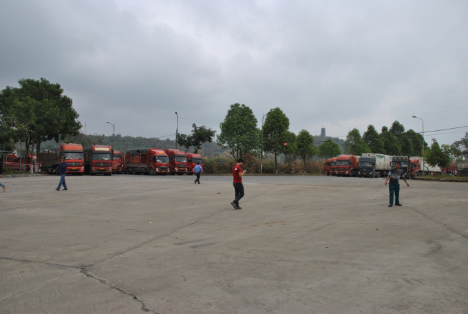 All the roads to the Kim Thanh International Road 2 Border Gate (Lao Cai) are congested.  Photo: H.D.