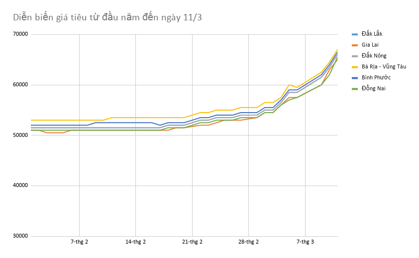 Pepper prices increased hotly but exports fell sharply - Photo 2.