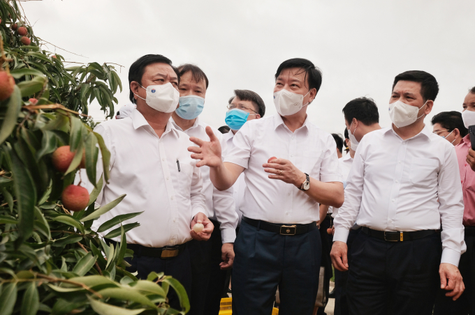 Minister of Agriculture and Rural Development Le Minh Hoan (left cover) and Minister of Industry and Trade Nguyen Hong Dien (right) inspect the preparation for export and consumption of the lychee crop in 2021. Photo: CT.