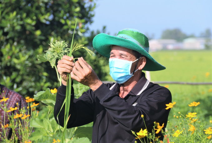 Đặt người nông dân ở vị trí trung tâm của quá trình phát triển.