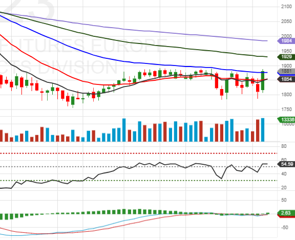 Overview of Robusta coffee market (January 13, 2023)