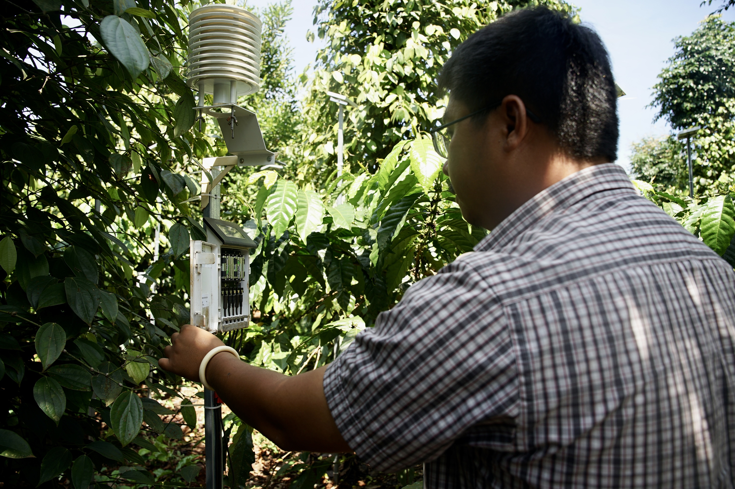 The technician in charge of the microclimate meter was installed in Mr. Do Van Anh's garden.  Photo: Linh Linh. 