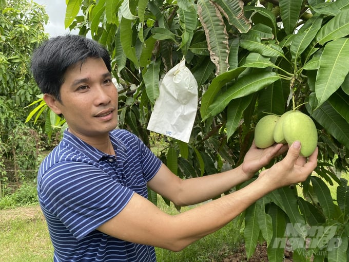 In recent years, Vietnam has received about 1,000 notices from WTO members announcing many changes to SPS measures to increase disease prevention in the export and import of agricultural products.  Photo: Le Hoang Vu.