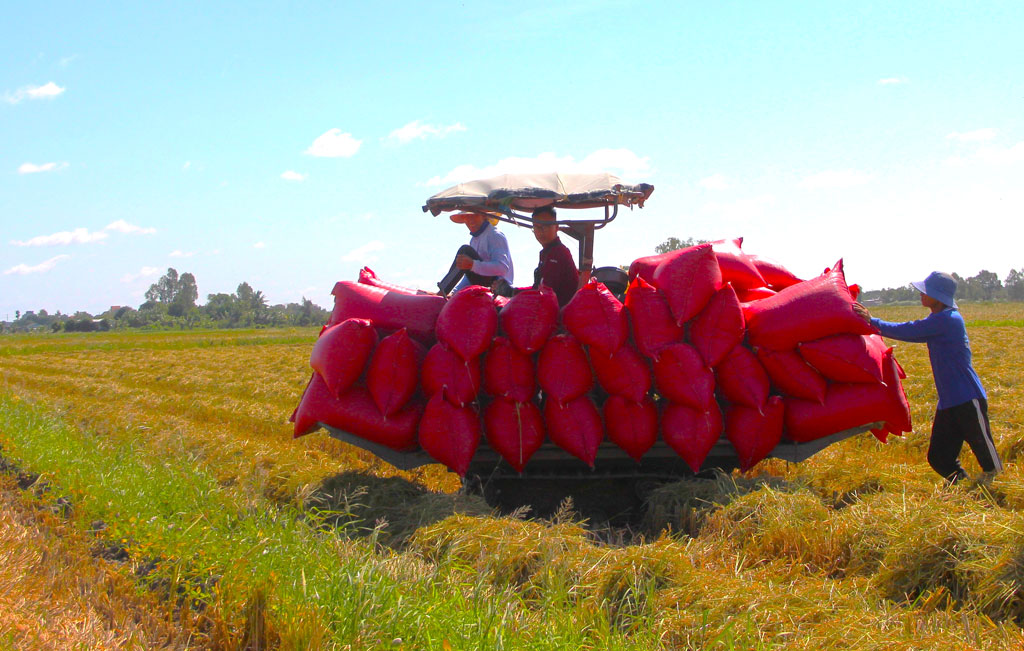 Minister Le Minh Hoan: Building a new image of farmers, creating change in every field - Photo 3.