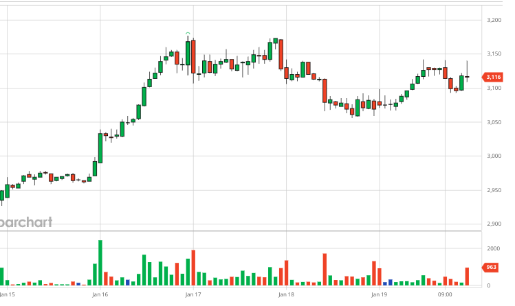 Coffee market summary week 03 (January 15, 2024 – January 20, 2024)