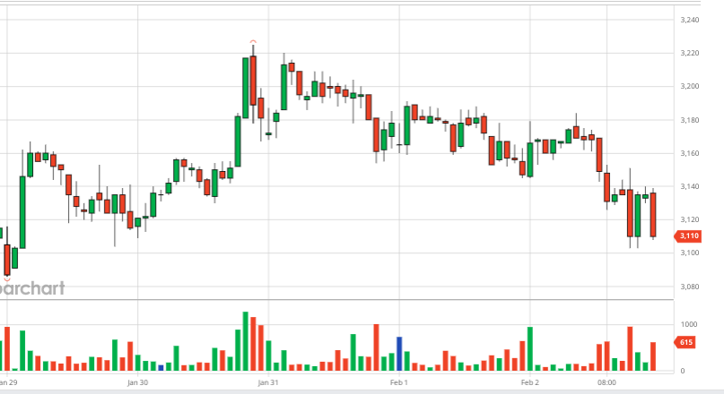 Summary of coffee market week 05 (January 29, 2024 – February 3, 2024)