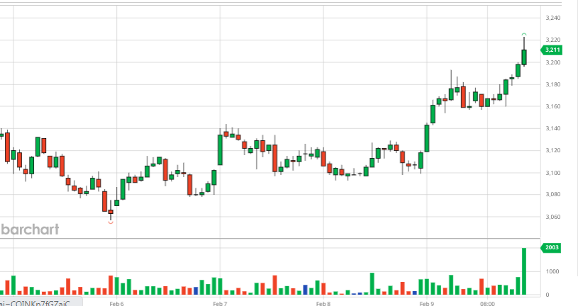 Summary of coffee market week 06 (February 5, 2024 – February 10, 2024)