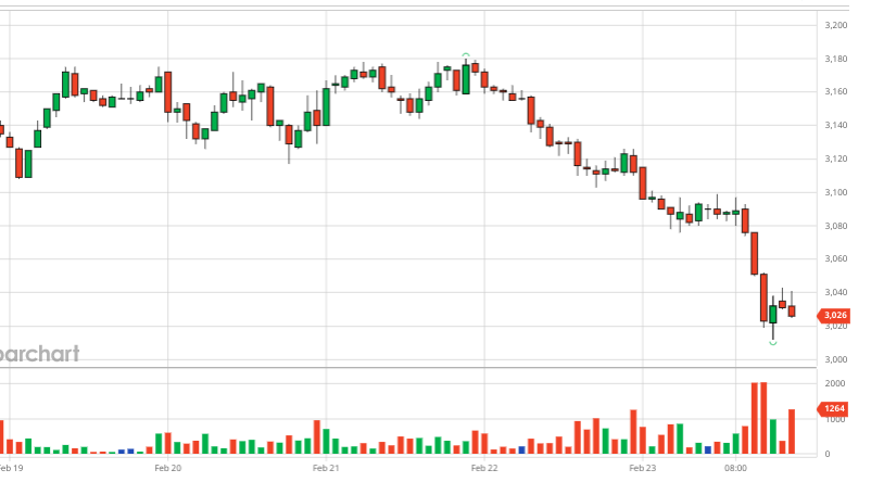 Coffee market summary for week 08 (February 19 – February 24, 2024)