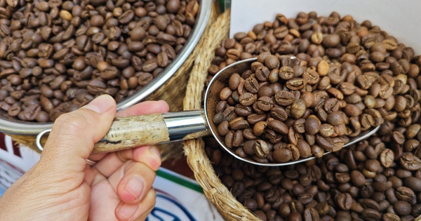 Coffee and pepper prices increased rapidly, continuously setting new records