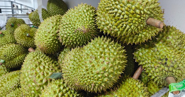 Coffee, durian, and rice continuously won prices at the beginning of the year