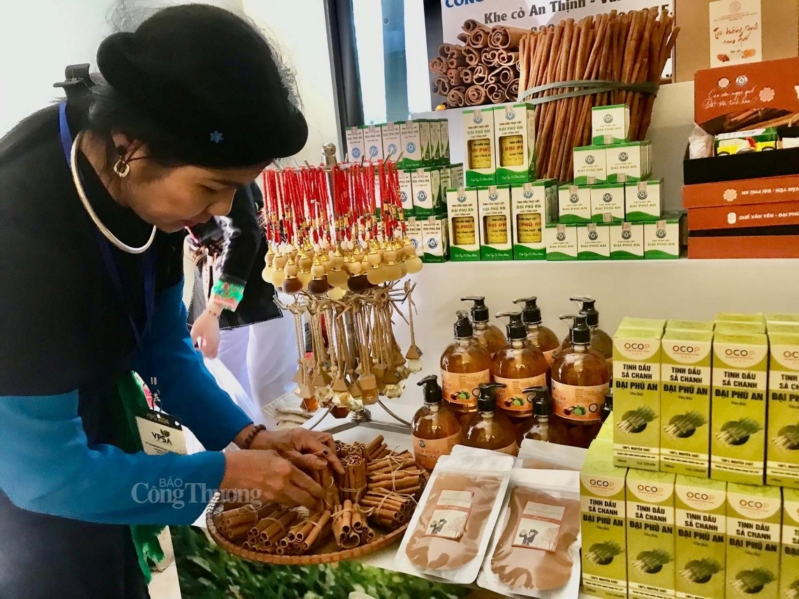 International conference on Vietnam's pepper and spice industry: Connecting export businesses