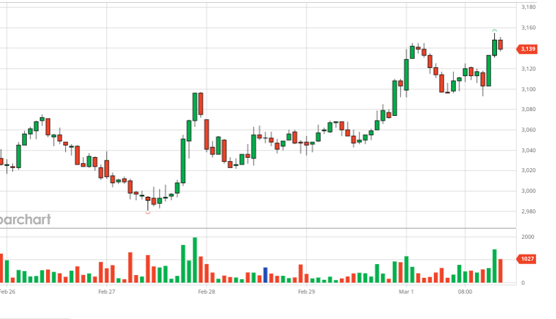 Coffee market summary week 09 (February 26, 2024 – March 2, 2024)