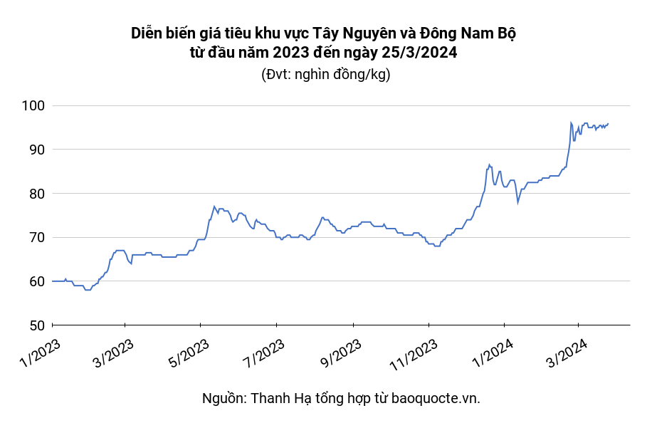 Pepper market on March 25, 2024: Highest 96,000 VND/kg at the beginning of the week