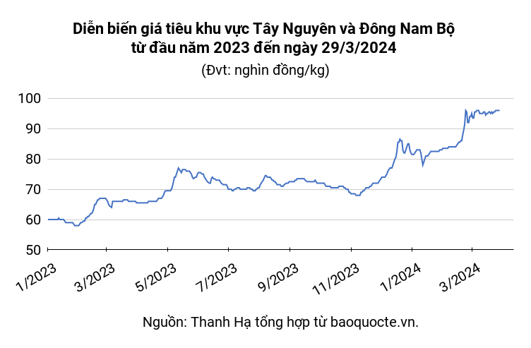 Pepper market on March 29, 2024: Maintaining sideways momentum, lowest at 92,500 VND/kg