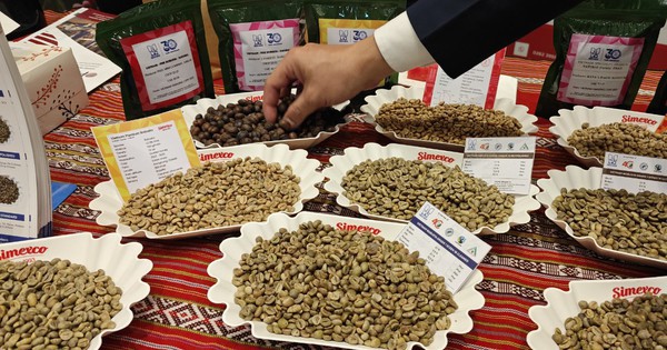 Surprised by the list of leading roasted and ground coffee exporters in Vietnam