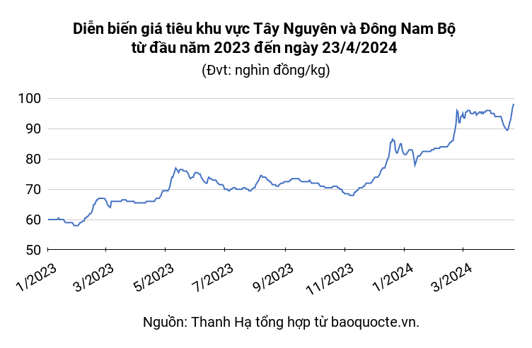 Pepper market on April 23, 2024 was stable, highest at 98,000 VND/kg