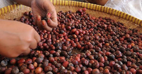 Are record high cocoa and coffee prices just temporary?