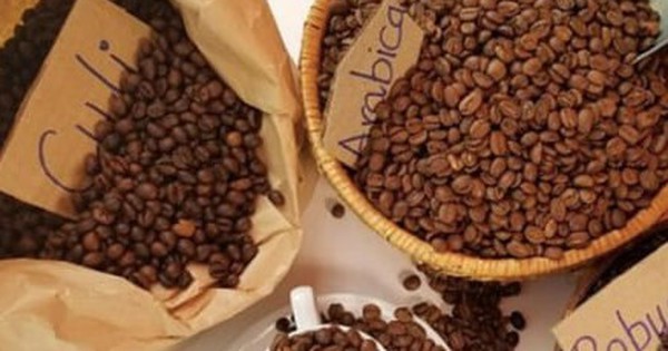 Why have coffee prices increased crazily, to the highest level in history?